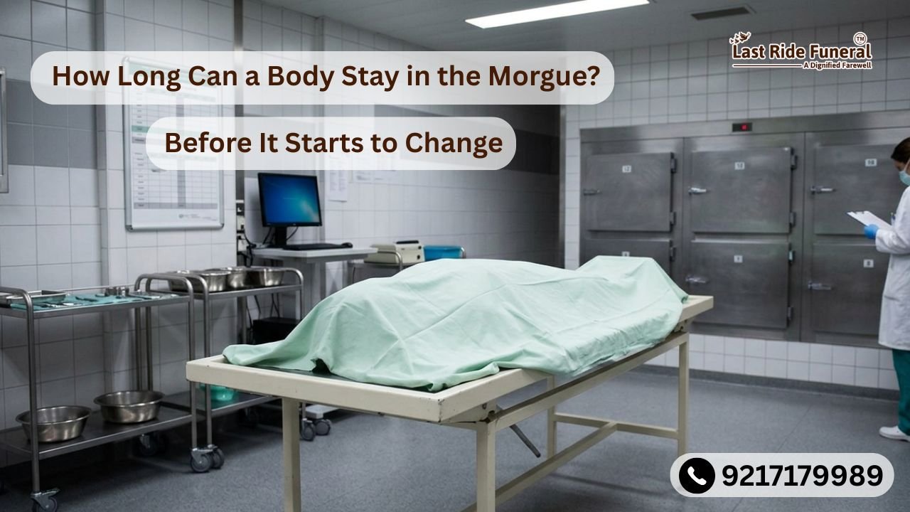 Body Stay in the Morgue