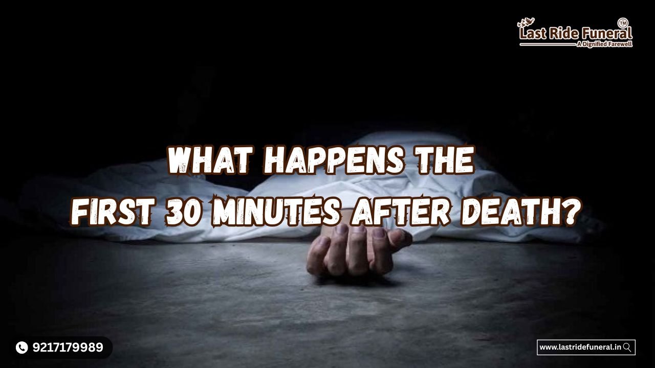 First 30 Minutes After Death